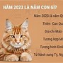 Bố 1986 Mẹ 1991 Sinh Con Năm 2024