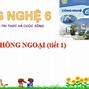 Công Nghệ Lớp 6 Kết Nối Tri Thức Bài 6