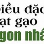 Hạt Gạo Dài Nhất Thế Giới