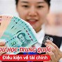 Trải Nghiệm Du Học Hè Trung Quốc Online 2024 Tphcm